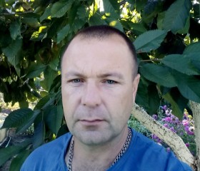 Николай, 39 лет, Светлагорск