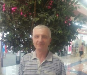 Анатолий, 74 года, Берёзовский