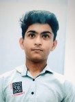 Hemant Malik, 18 лет, Chandigarh