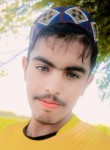 Malik, 18 лет, اسلام آباد