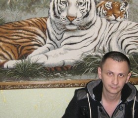 Александр, 42 года, Тольятти