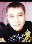 Александр, 31 год, Йошкар-Ола