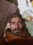 Javed, 48 лет, لاہور