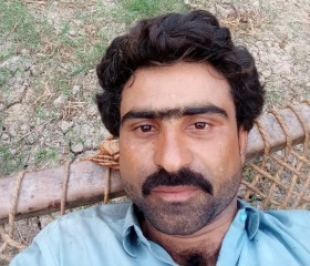 Amir, 26 лет, صادِق آباد
