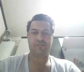 Sina, 45, Gonabad