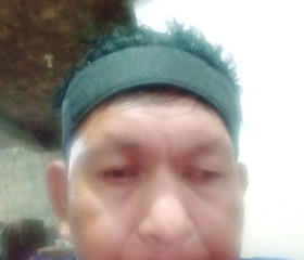 Alfredo kampitan, 46 лет, Los Baños