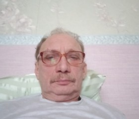 Владимир, 67 лет, Никольское