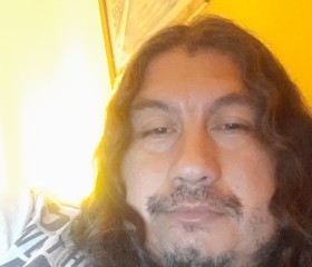 Antonioo, 44 года, Chillán
