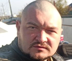 Григорий, 41 год, Василівка