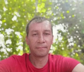 Фаниль, 45 лет, Магнитогорск