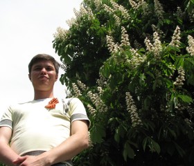 Илья, 41 год, Симферополь