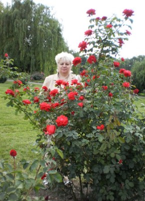 Оленька, 64, Ukraine, Kiev
