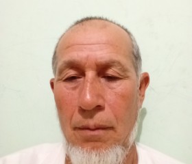 Amir, 61, Almetevsk