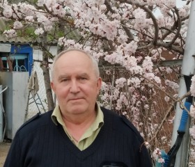 Сергей Бодров, 62 года, Оренбург