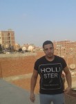 ahmad, 36 лет, القاهرة