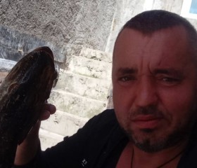 Vladislav, 43, Les Sorinieres