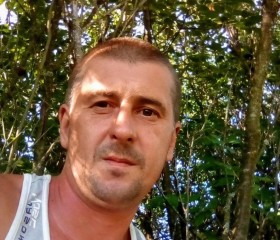 Андрей, 45 лет, Железногорск (Курская обл.)