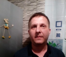 Андрей, 48 лет, Димитровград