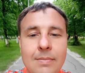Сергей, 42 года, Железногорск (Курская обл.)