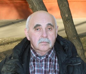 Михаил, 65 лет, Москва