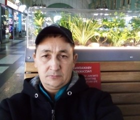 Ринат, 44 года, Пермь