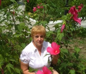 Наталья, 60 лет, Томск