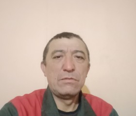 Айдар, 49 лет, Алматы