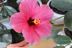 Nadezhda, 64 - Miscellaneous