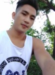 Ryan, 28 лет, Pinamalayan