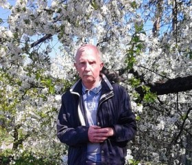 Владимир, 66 лет, Яблоновский