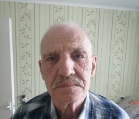 Алексей, 73 года, Жлобін