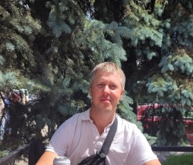 Алексей Попов, 38 лет, Вельск