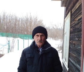 Наиль Купаев, 68 лет, Сасово