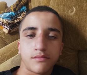 انس, 18, Halhul
