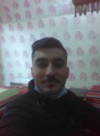 Erdem, 28 лет, Bitlis