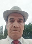 Amir, 74  , Kursk