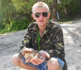 Андрей, 37 лет, Васильків