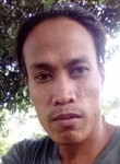 christian, 27 лет, Lungsod ng Dabaw