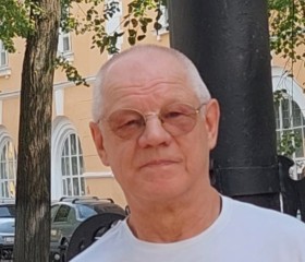Михаил, 69 лет, Ярославль