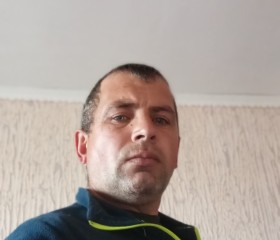 Шурик, 44 года, Евпатория