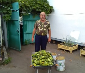 андрей, 66 лет, Малоархангельск