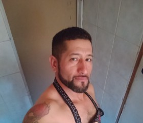 Sebastián, 38 лет, Santiago de Chile