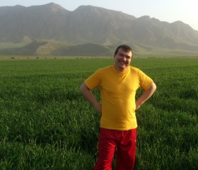 Антон, 38 лет, Toshkent