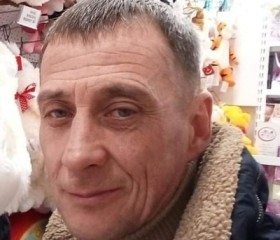 Владимир, 52 года, Курчатов