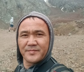Тимур, 46 лет, Алматы