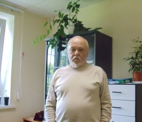 Станислав, 64 года, Тюмень