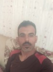 محمد, 35  , Arish