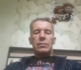 Леонид, 53 года, Петрозаводск