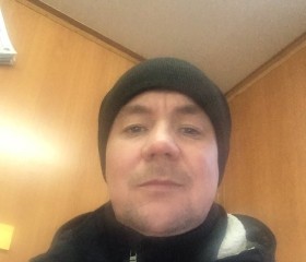 Denis, 43, Cherepovets