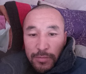 Дима, 31 год, Бишкек